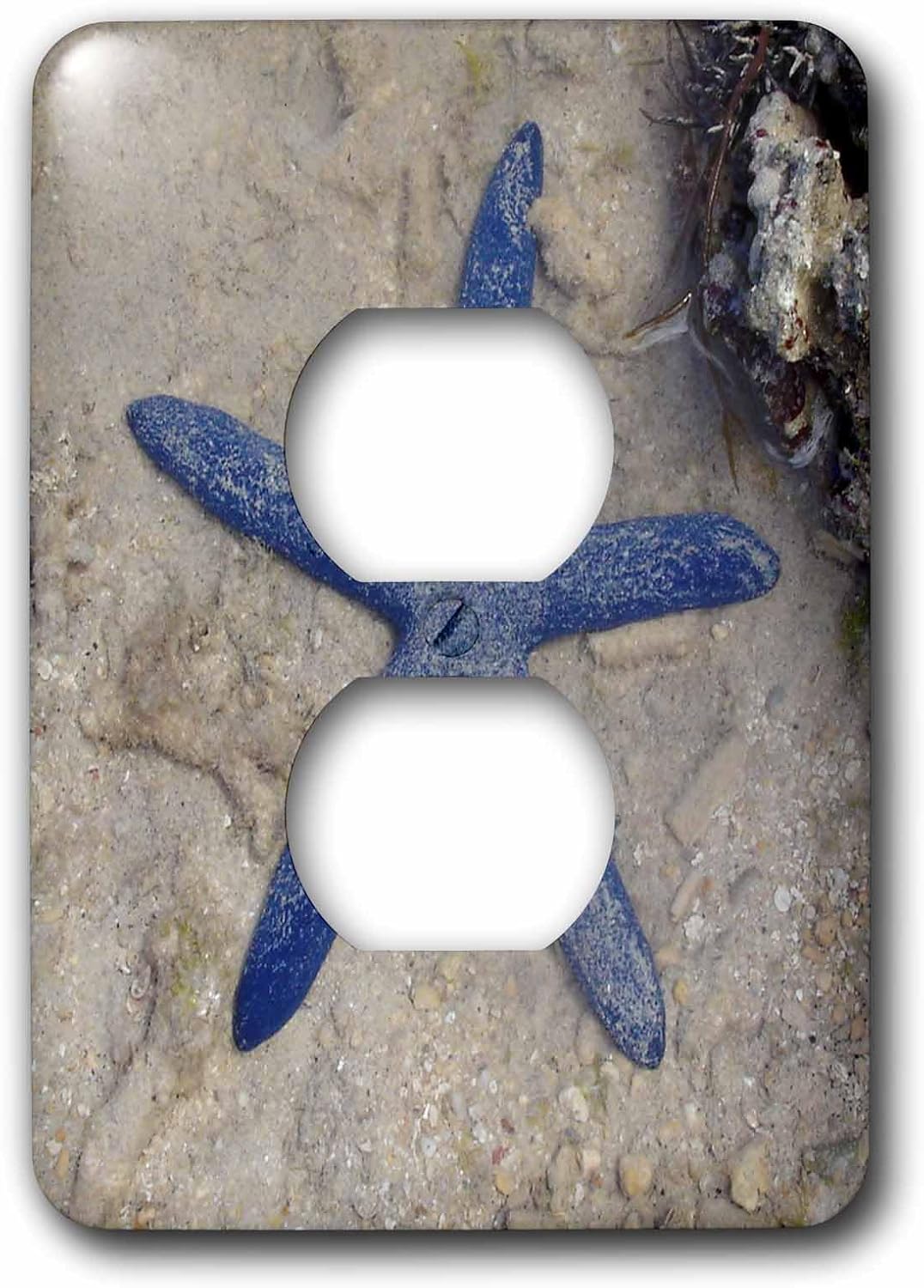 3dRose lsp_22794_6 Rare Blue Sea Star Starfish Waters of Malolo Island Fiji Light Switch Cover