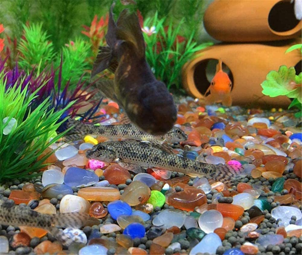 Ciottoli decorativi per acquario mini giardino per micro paesaggio, granuli di ghiaia fiume passerella abbellimento rosa, 200 g