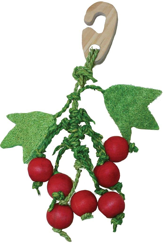 Critters Choice Berry Nibbler Hanging Toy for Small Animals Durable Safe Fun Stimulating Nibbling Gnawing for Hamsters Rabbits Guinea Pigs Enclosure