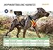 Julius-K9, 19MTR-for-M-AMZ, Mantrailing & Outdoor Hundegeschirr, Größe: M, UV orange mit neon Rand