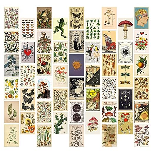 8TEHEVIN 50PCS Vintage Botanical Illustration Tarot Aesthetic Pictures Wall Collage Kit, Trendy Small Poster for Dorm, Vintage Style Art Print Photo Collection, Bedroom Decor for Teens Boys Girls
