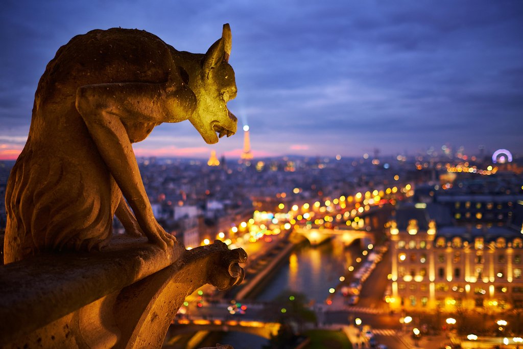 Amazon.com: Notre Dame Cathedral Gargoyle Paris at Night Photo