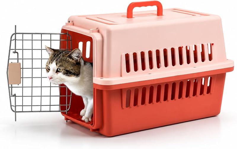 Caixa de Transporte Rígida para Cães e Gatos, Plástico Ventilado, Orange, Large