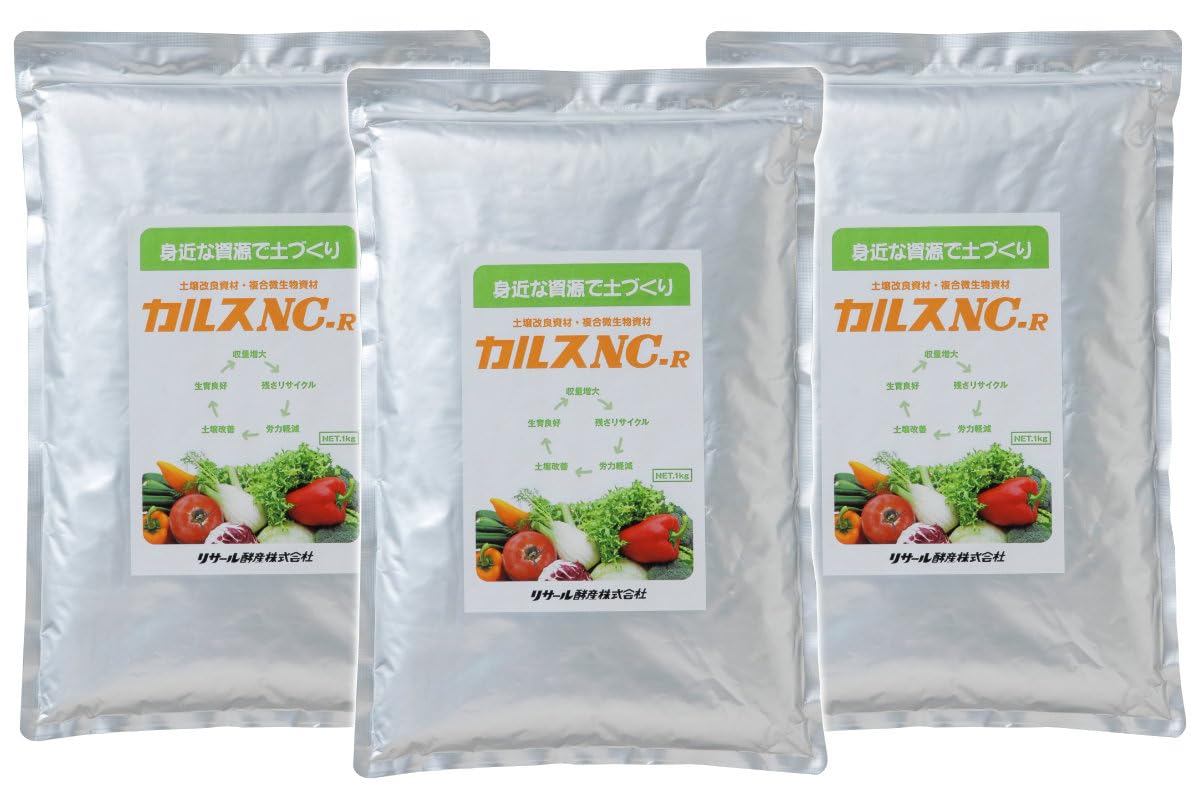 ガストロール発泡粉末リーフレット