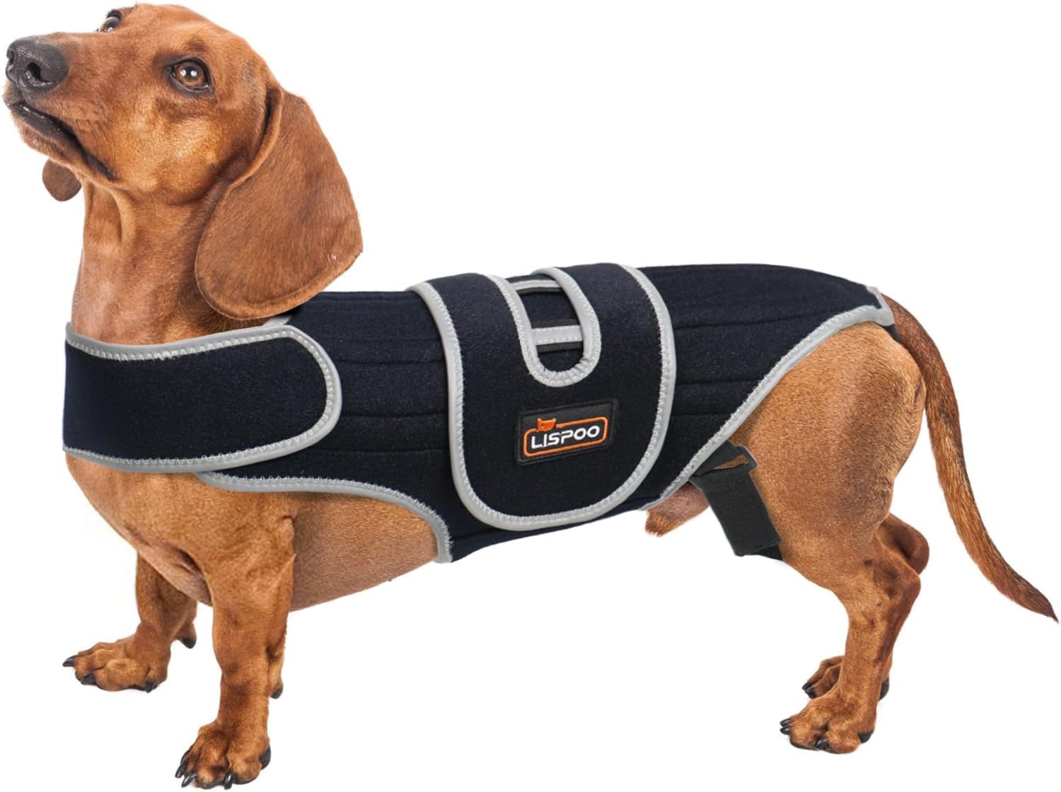 TIPOOP IVDD Dog Back Brace | Post-Surgery Support & Arthritis