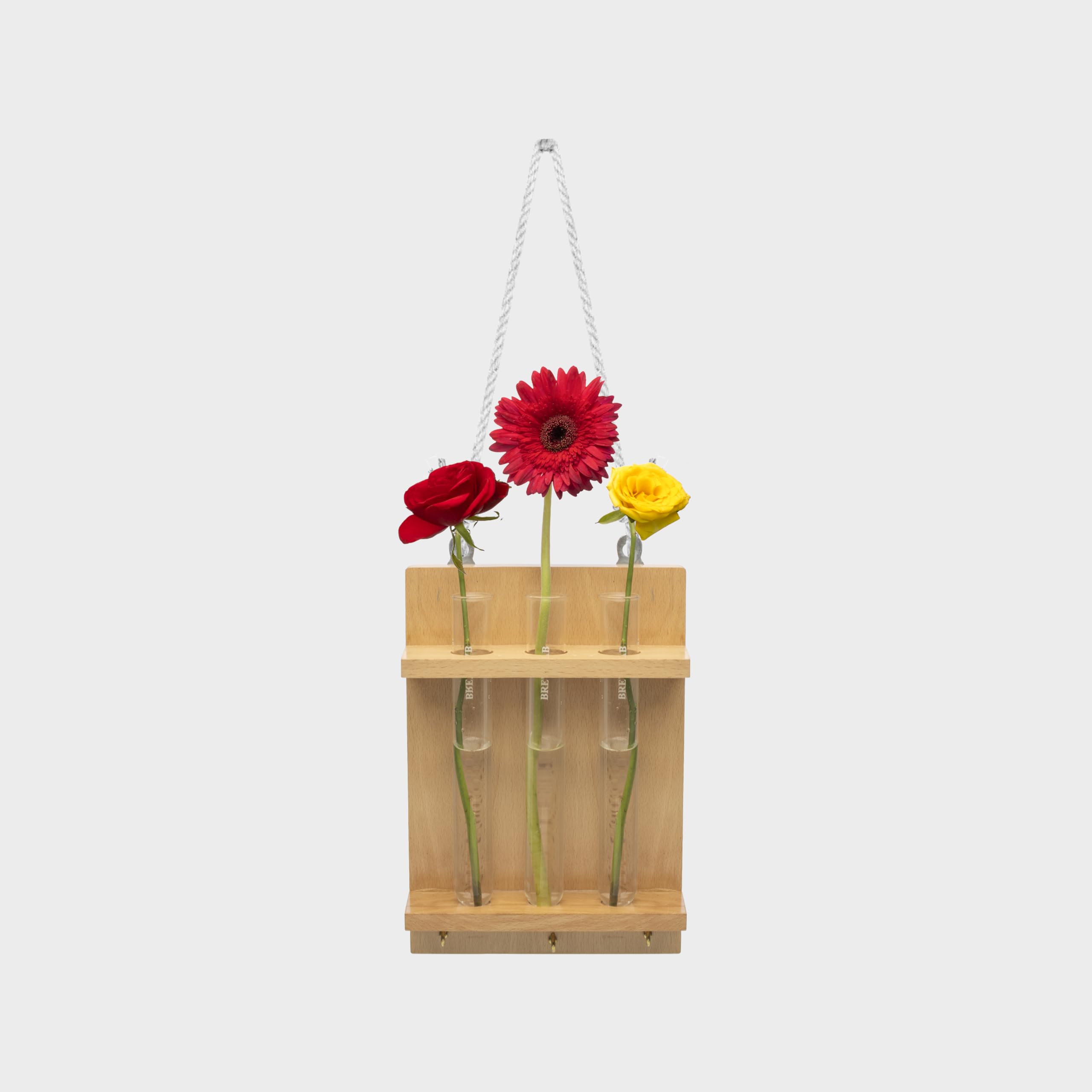 See full amazon price history chart for Brew Lab Test Tube Planter with Wooden Stand and Keyholder | Home and Garden Decor Planter Stand for Wall (3 Test Tubes & Hooks),Wall Frame Planter Brew Lab Test Tube Planter with Wooden Stand and Keyholder | Home and Garden Decor Planter Stand for Wall (3 Test Tubes & Hooks),Wall Frame Planter (B09DGHNG57) Amazon Price History, Amazon Price Tracker