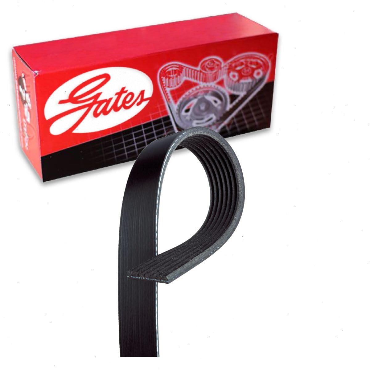 Gates Micro-V Serpentine Belt Compatible with Toyota 4Runner 4.0L V6 2004-2009