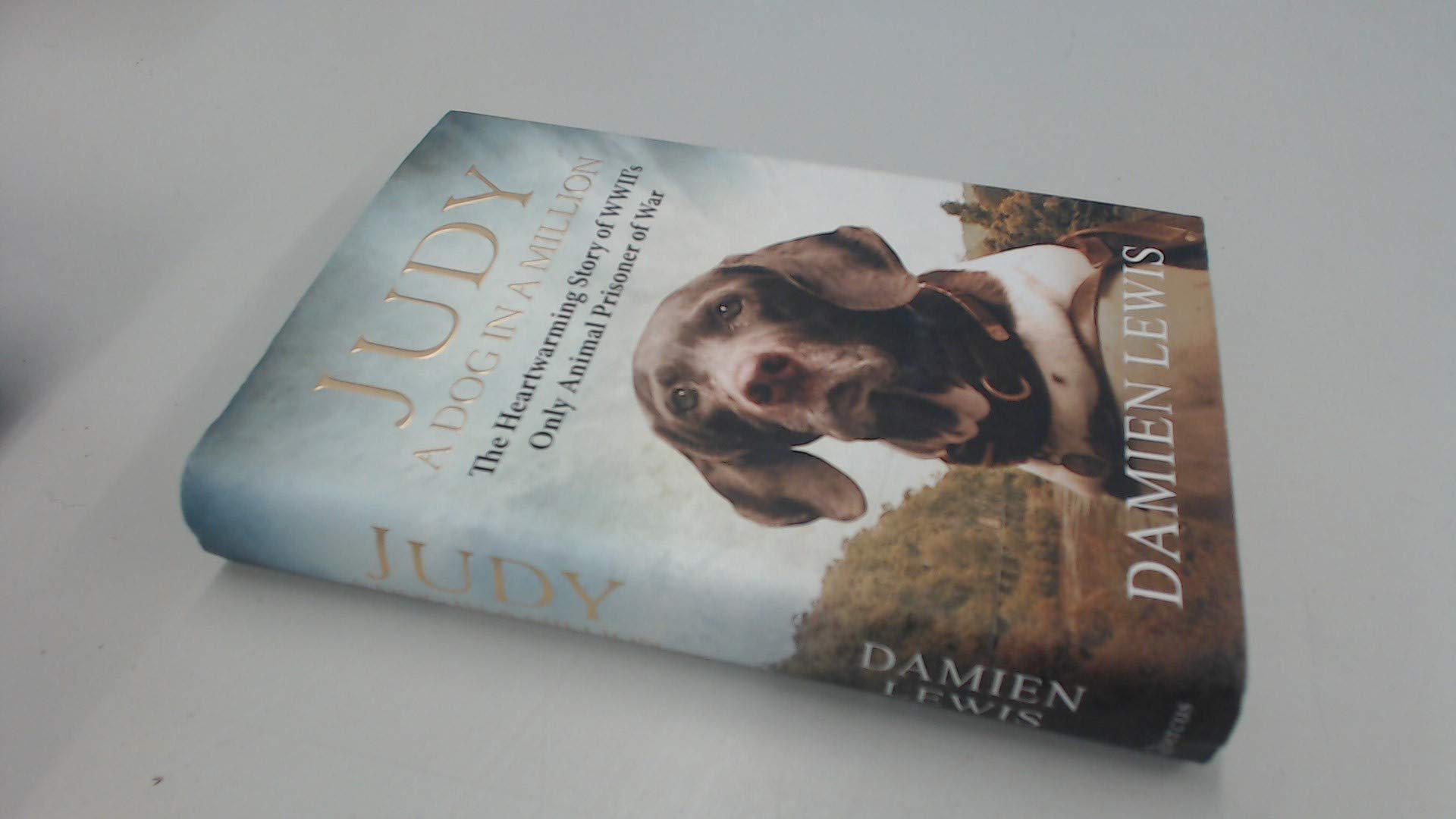 Judy: A Dog in a Million: The Heartwarming Story of WWII's Only Animal Prisoner of War
