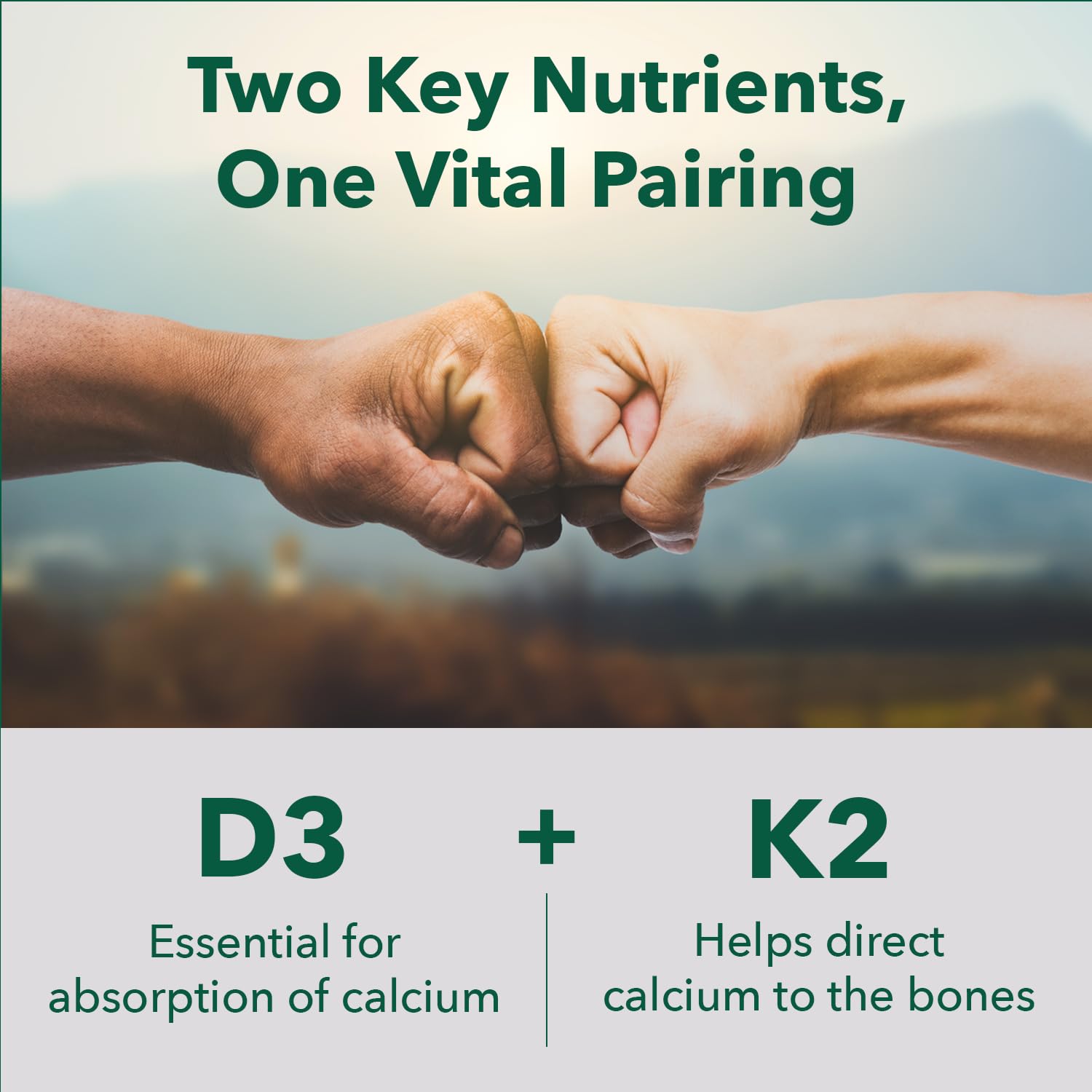 PlantFusion Organic Vegan Vitamin D3 + K2 5,000 IU, 50MCG – Vitamin D Sourced from Plant Based Lichen and Vitamin K2, for Immune Support and Bone Health - 60 Capsules — Amazon image 2