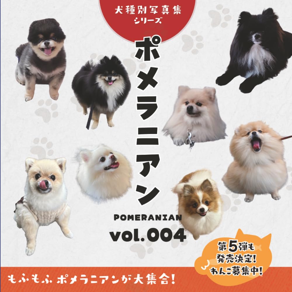ポメラニアン（Pomeranian）vol.004: 犬種別写真集シリーズ