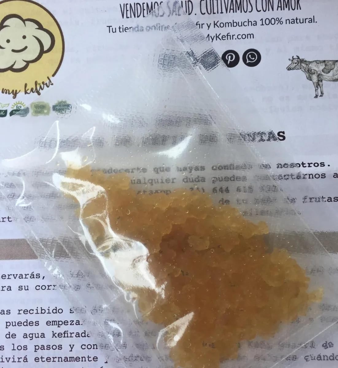100g de Hongo/Nódulos Frescos de Kéfir de Frutas + Instrucciones + Recetas + Ayuda y Asesoramiento en español - OH MY KÉFIR®