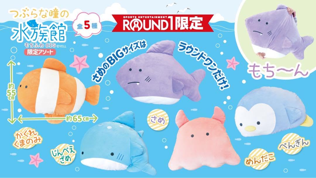 Amazon.co.jp: つぶらな瞳の水族館 R1限定アソート エイ