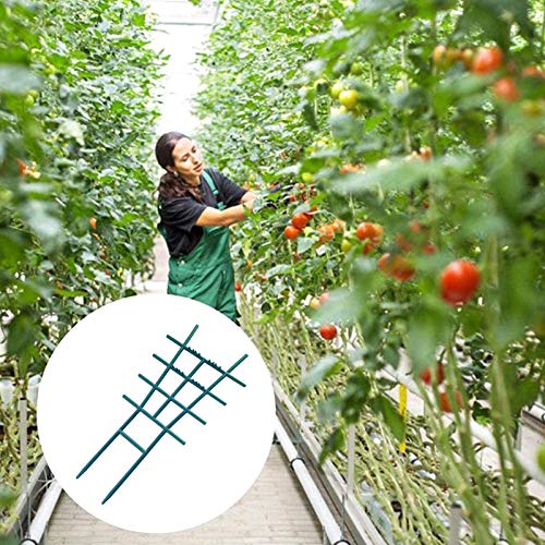 Nedyet 2 stuks tuinplanten steunkooien, klimrek outdoor plantenframe stand groeihulp voor tuin klimplanten bloemen… - Afbeelding 4