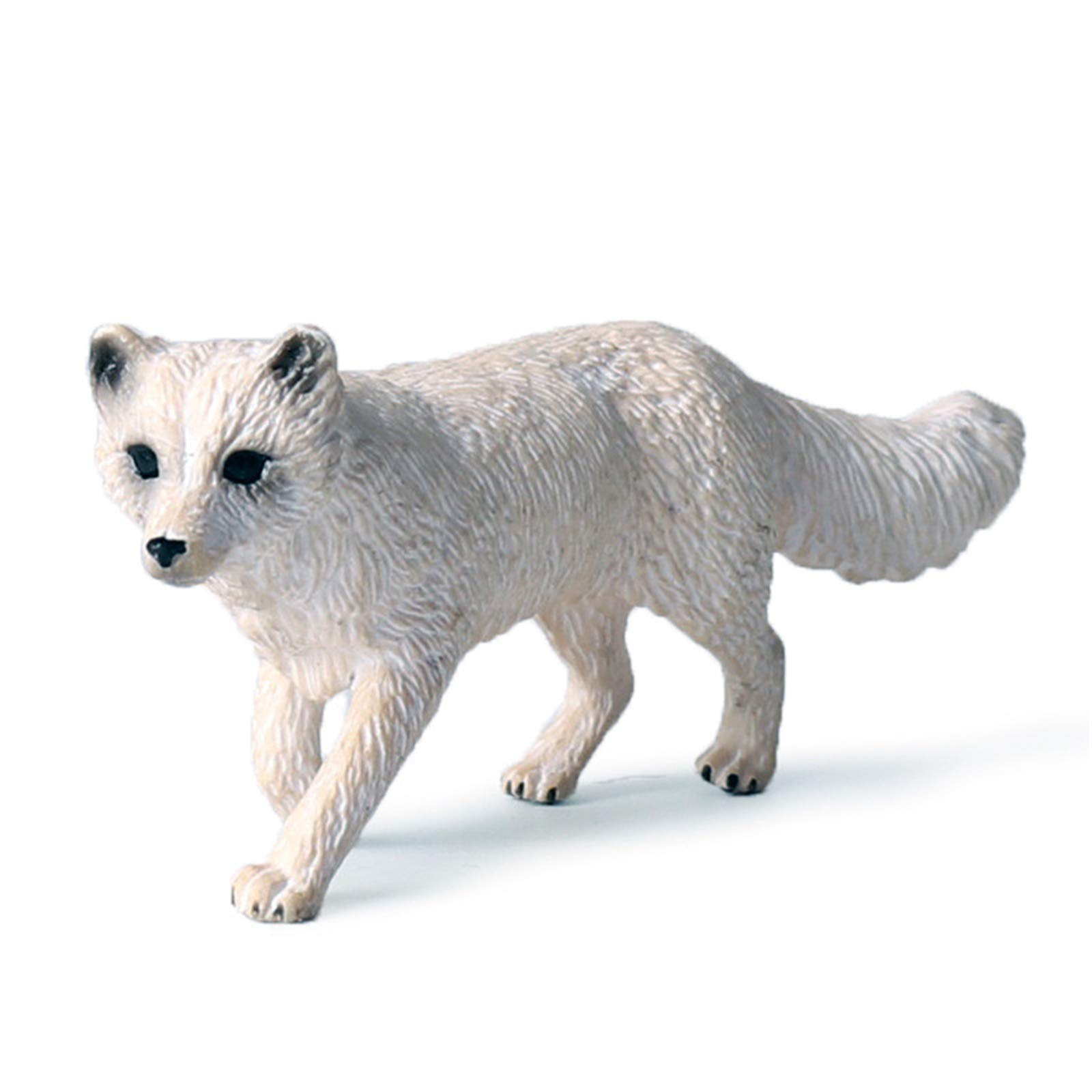 Amazon | Eden Toys ホッキョクギツネ キツネ イヌ科 動物 リアル