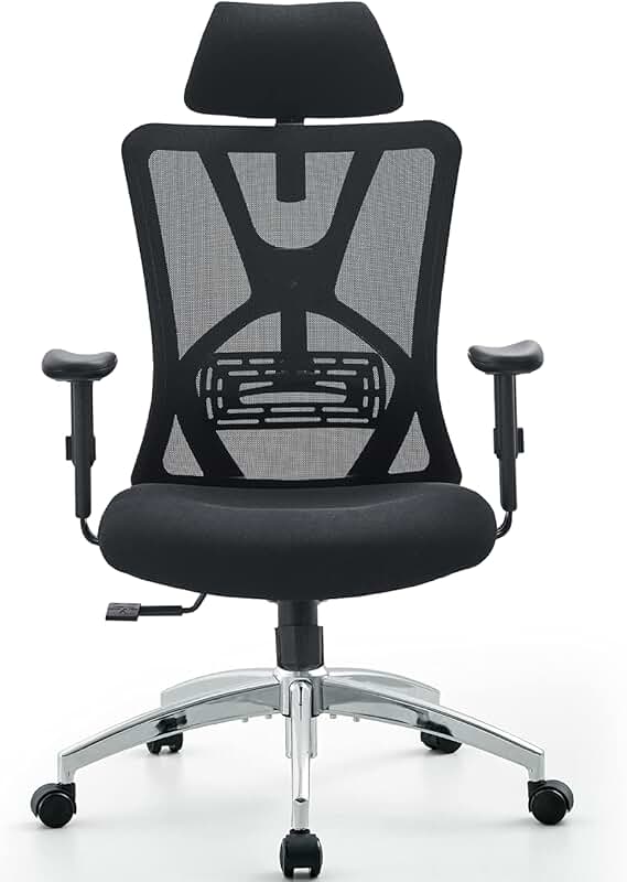 Best Ergonomic Office Chair