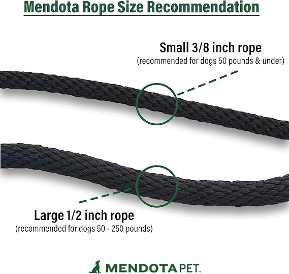 Mendota Pet Slip Leash - Dog Lead and Collar Combo - Made in The USA - Amethyst, 1/2 in x 4 ft - for Large Breeds