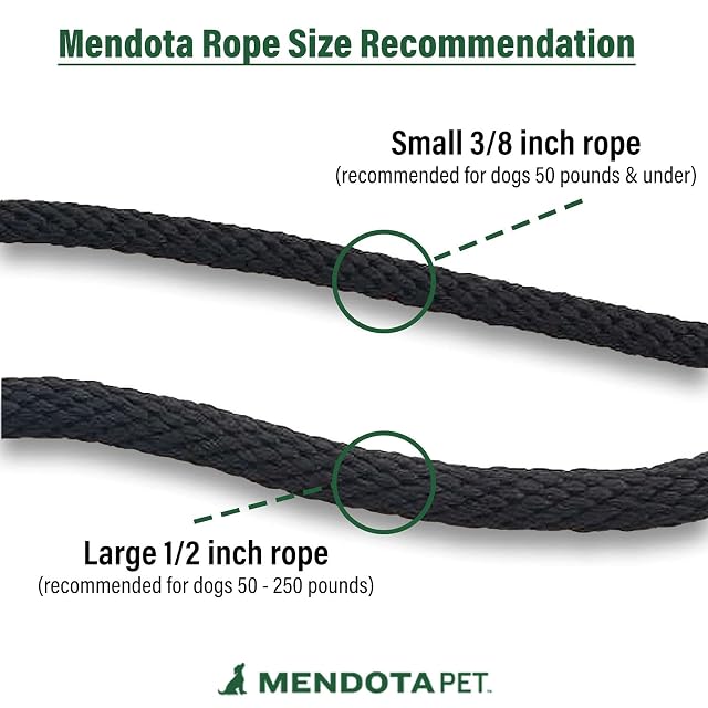 Foto 4 de 7 de Mendota Pet Correa Deslizante, Combo de Correa y Collar para Perro, Fabricada en los Estados Unidos