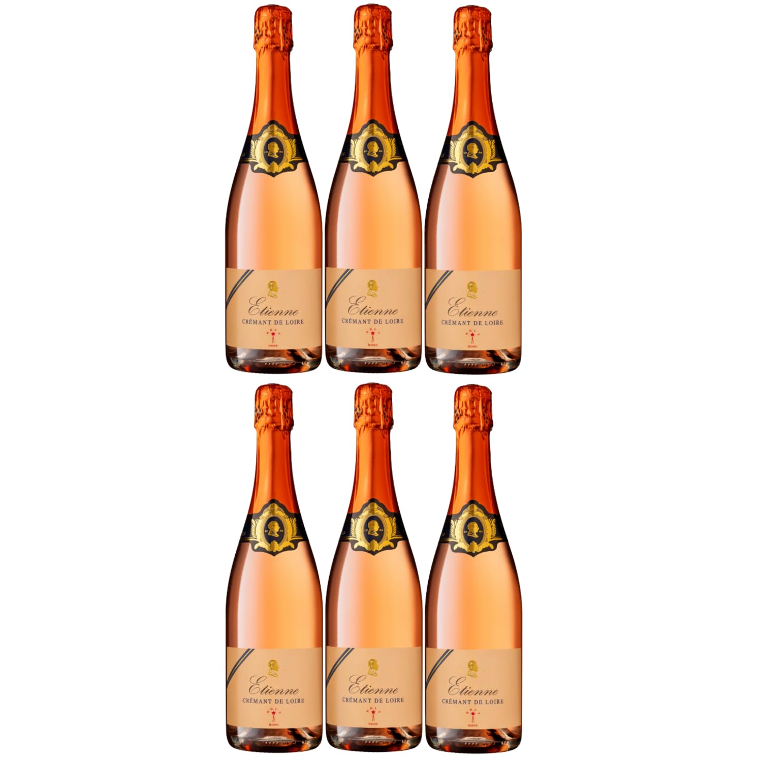 Bouvet Ladubay Etienne Brut Rosé Crémant de Loire AOC Frankreich Inkl. FeinWert E-Book (6 x 0,75l)
