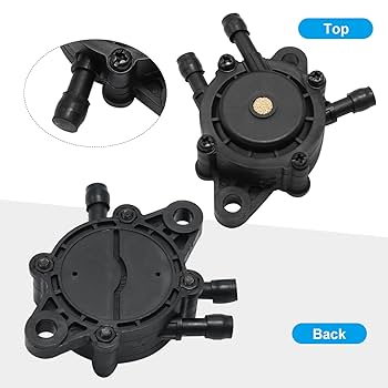 lady　0509 Amazon.com: 808656 691034 Fuel Pump with Fuel Line Filter