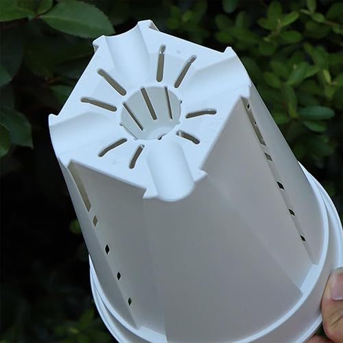 Miniatura 5 de Paquete de 5 macetas para orquídeas, macetas de orquídeas con agujeros y platillos, maceta de plástico para interiores y exteriores, maceta