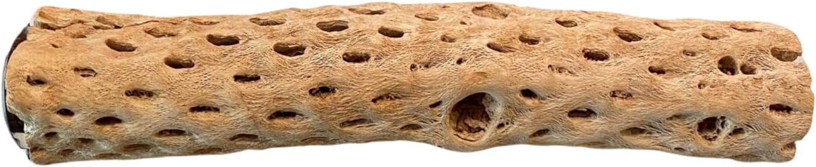 Polly's Cholla Cactus Bird Perch, Large