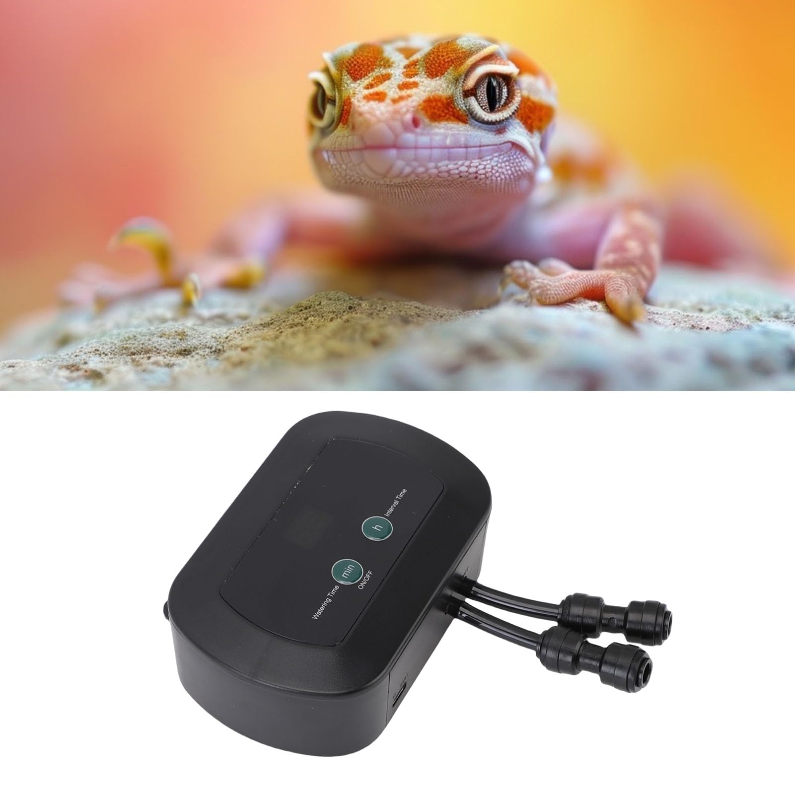 Acouto Umidificatore per Terrari con Nebulizzatore Automatico per Rettili con Timer Programmabile Sensore Igrometro Temperatura per Anfibi Umidificatore per Rettili Paludarium P Fogger Automatico