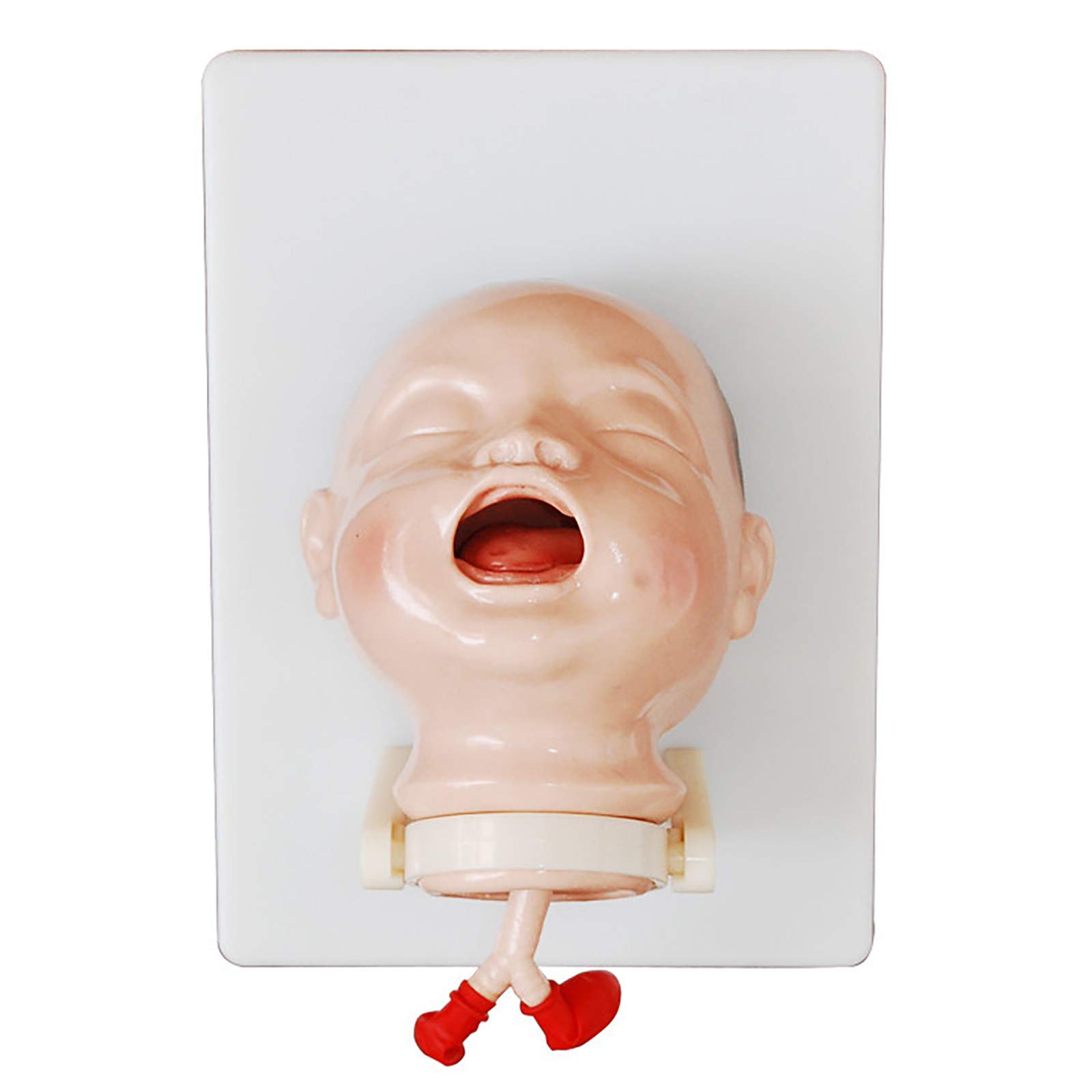 CHGGE Infant Tracheal Intubation Model, Tracheal Intubation Training Model During Neonatal Asphyxia Resuscitation, Tracheal Intubation Model, Midwifery School Medical School Model