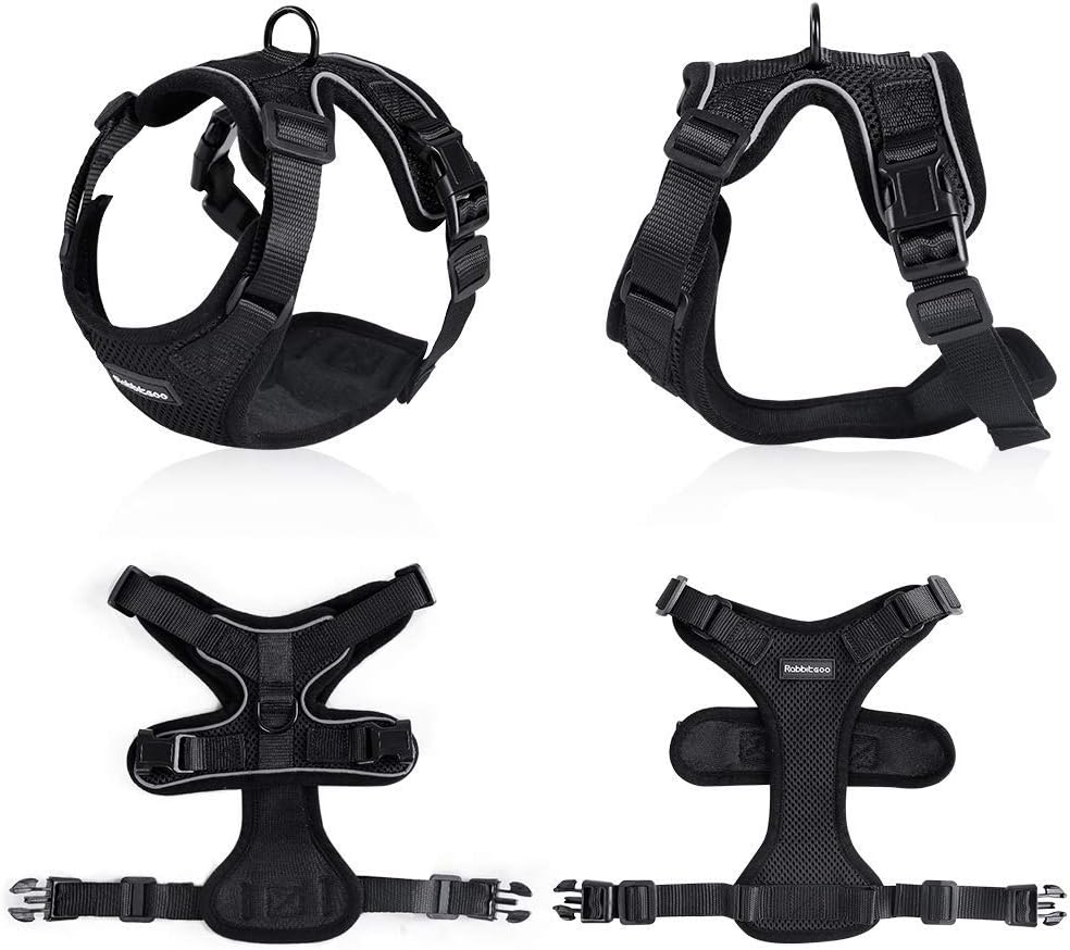 rabbitgoo Cat Harness Escape Proof, Adjustable Small Pets Vest Harnesses, No Choke No Pull Design for Best Safety and Comfort - Soft Mesh Kitten Puppy Harness with Reflective Strips, Black