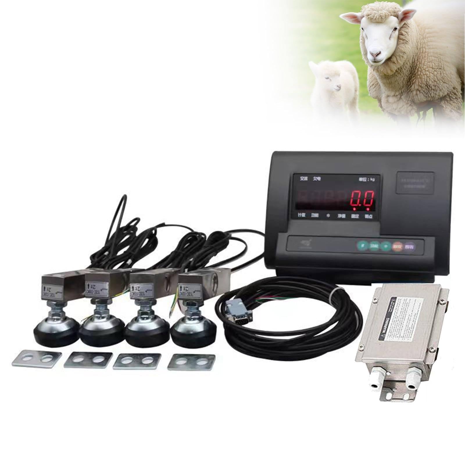 Set di bilance bestiame, display ad alta precisione, bilancia con cella di carico, set di bilance elettroniche bestiame con scatola giunzione, bovini, suini, capre, pecore, bilance bestiame, 5000 kg