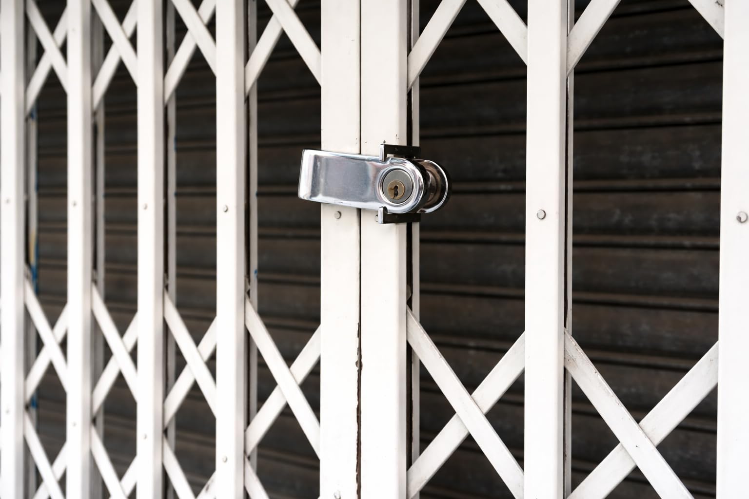 FERPASA® - Lucchetto di sicurezza estensibile con chiave di sicurezza, set da 2 pezzi, in acciaio zincato, chiusura rinforzata per cancelli, cancelli e porte, protezione antifurto per esterni