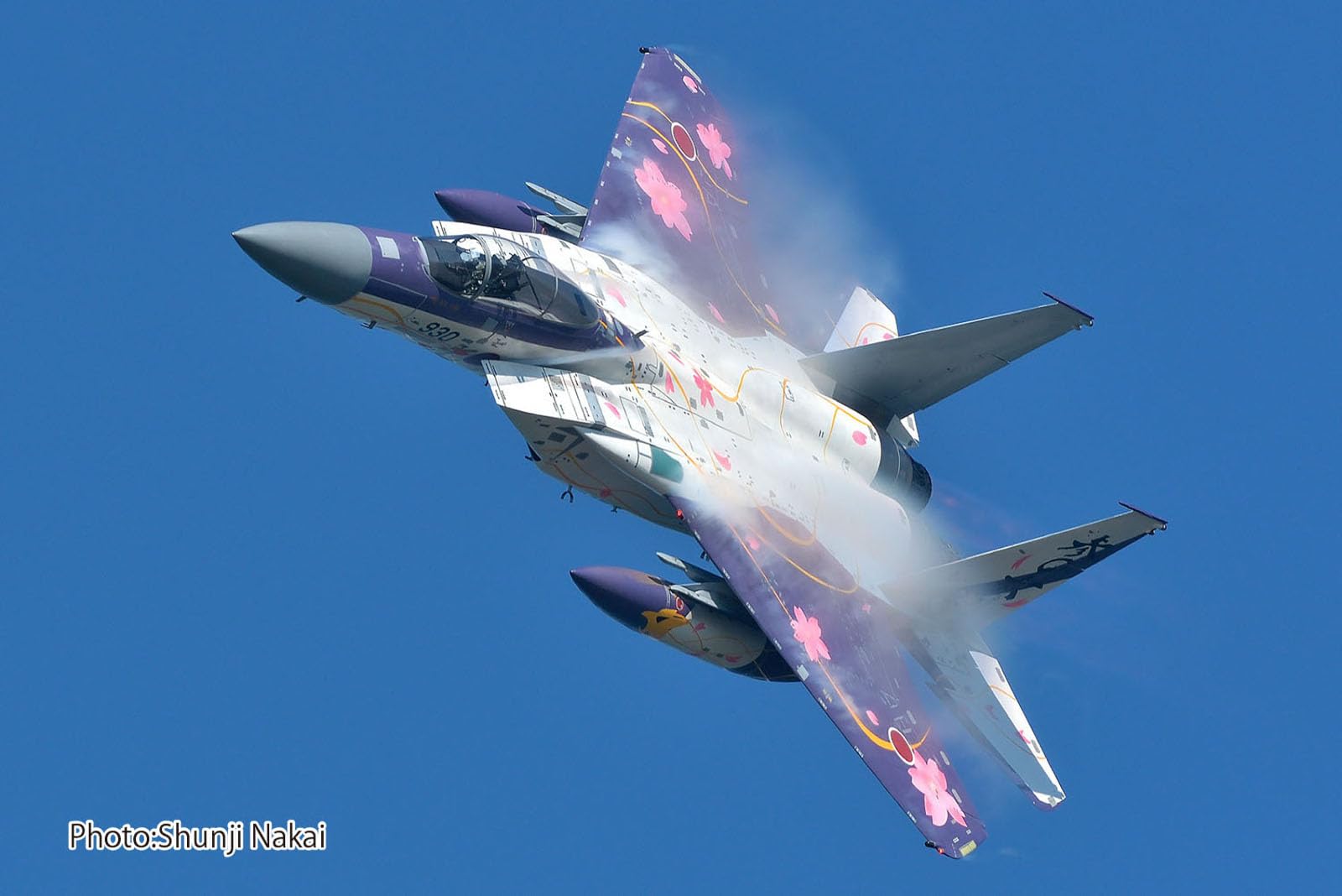 Amazon | プラッツ(PLATZ) 1/72 航空自衛隊 F-15J イーグル 第306飛行