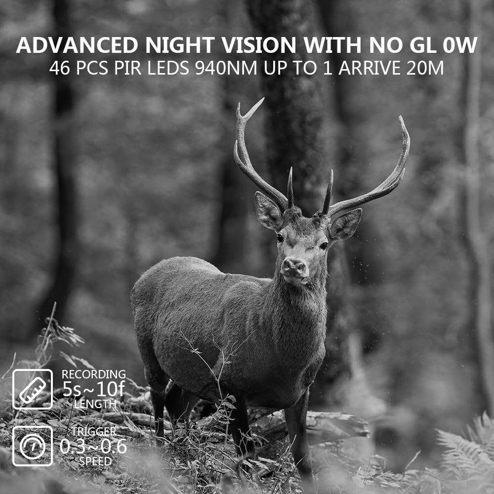 Wildlife - Cámara con sensor de movimiento, visión nocturna, WiFi con aplicación de transferencia móvil, 60 MP, 4K, visión nocturna 0,2 s, 940 nm, sin luz infrarroja, para exteriores