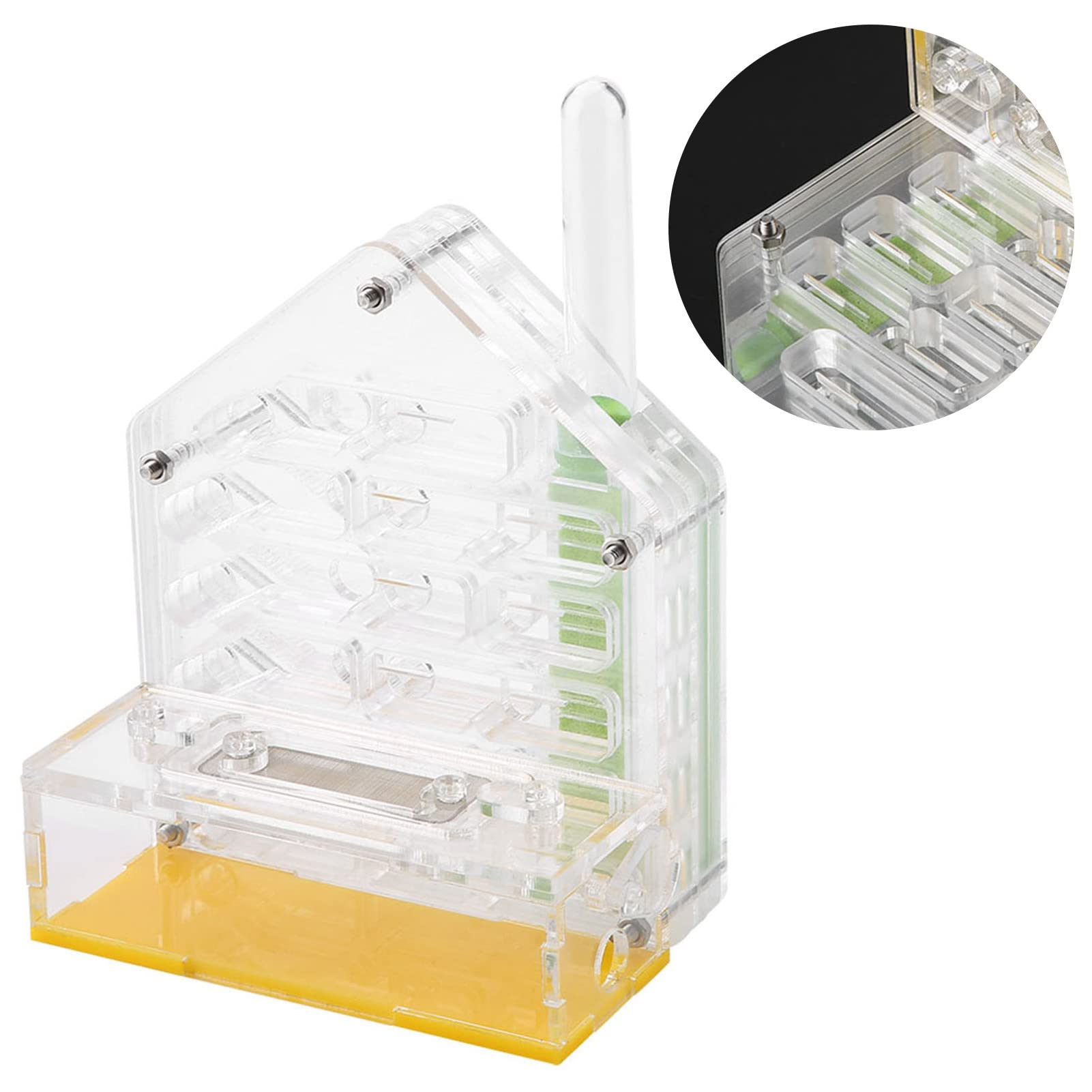 Formicarium Nourriture pour Fourmis 12×11×8 Acrylic Farm The Farm is Alive