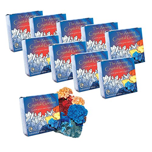 Grow Your Own Crystal Gardens x 10 - Party Bag Filler