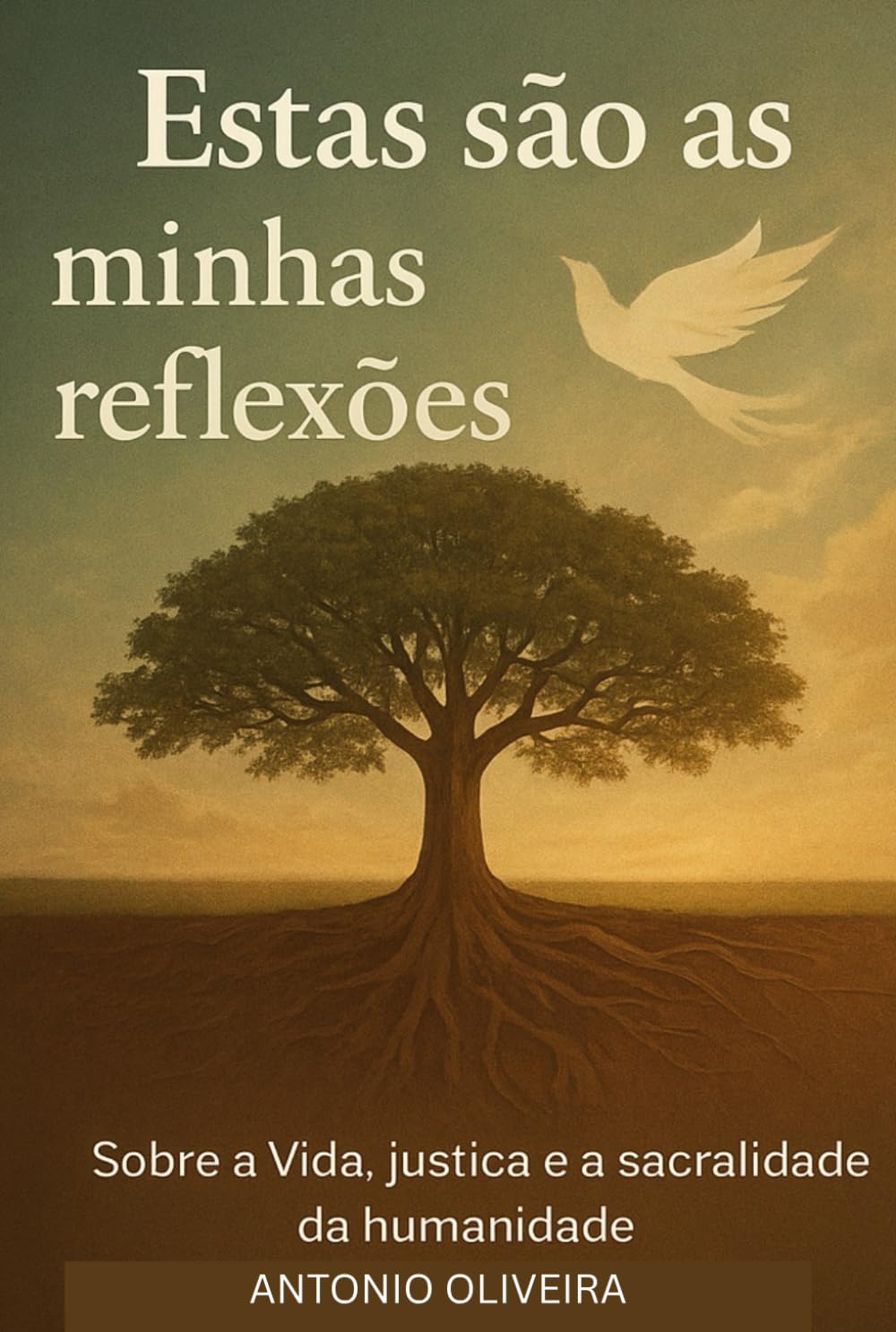 Estas São as Minhas Reflexões: Sobre a Vida, justiça e a sacralidade da humanidade.
