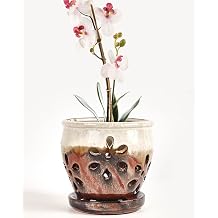 vensovo 5 Inch Ceramic Orchid Pots with Holes and Saucers - 1 Pcs Small Succulent Pot for Repotting, Garden Flowerpots for Plants Indoor and Outdoor Promotes Air Circulation, Brown Mixed