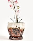vensovo 5 Inch Ceramic Orchid Pots with Holes and Saucers - 1 Pcs Small Succulent Pot for Repotting, Garden Flowerpots for Plants Indoor and Outdoor Promotes Air Circulation, Brown Mixed