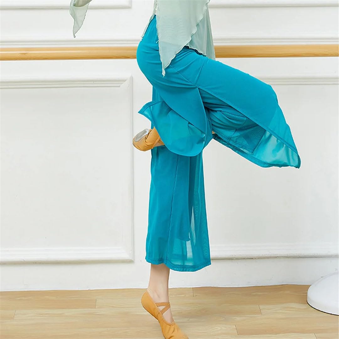 Hgvcfcv Moderne Tanzhose für Damen, lockeres weites Bein, Tanzhose, klassischer Tanz, Alltag, Yoga-Hose