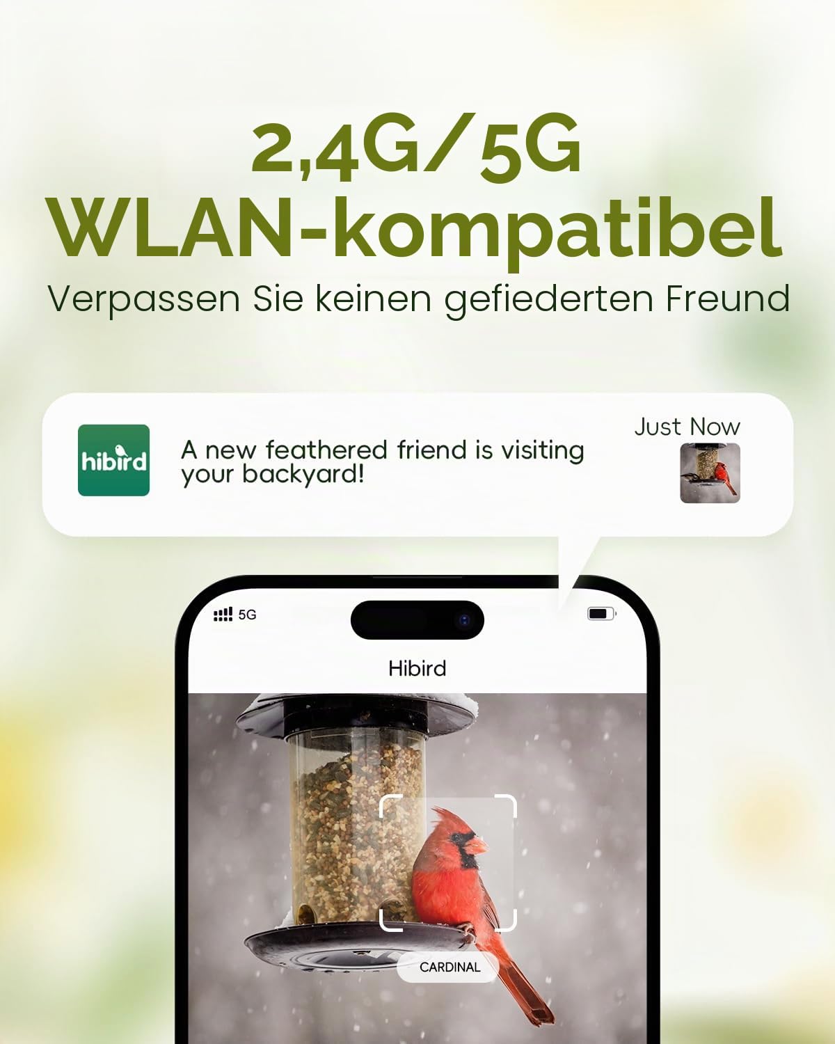 Hibird 4K HD Smart Bird Feeder Kamera, solarbetrieben, 2.4G/5G Dual WiFi, 6X Zeitlupenvideo, KI identifiziert 10.000+ Arten
