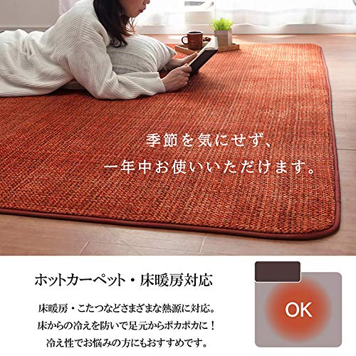 Amazon.co.jp: イケヒコ・コーポレーション ラグ マット カーペット