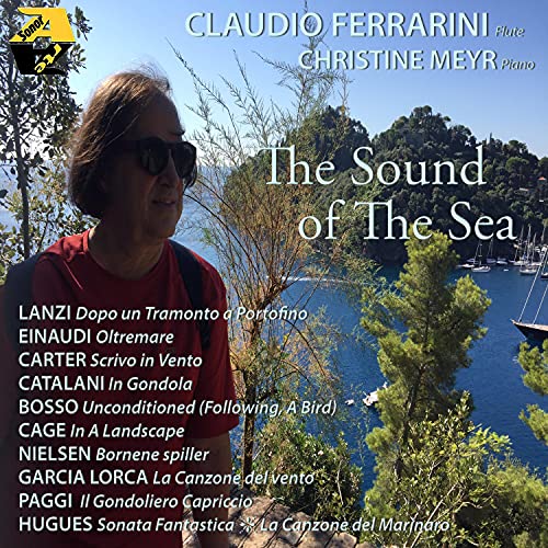 Omaggio a Ezio Bosso: Unconditioned Following A Bird Seagulls: I. Allegro (Arr. per flauto solo Claudio Ferrarini)