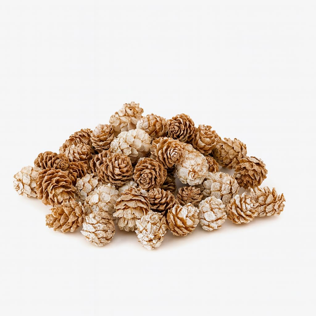 Floralcraft White Wash Floralcraft® Salignum Wreath Cones - 100G, Natural Salignum Cones For Floral Arrangements, Christmas, Wreaths, Centerpieces, Diy Craft, Home Décor