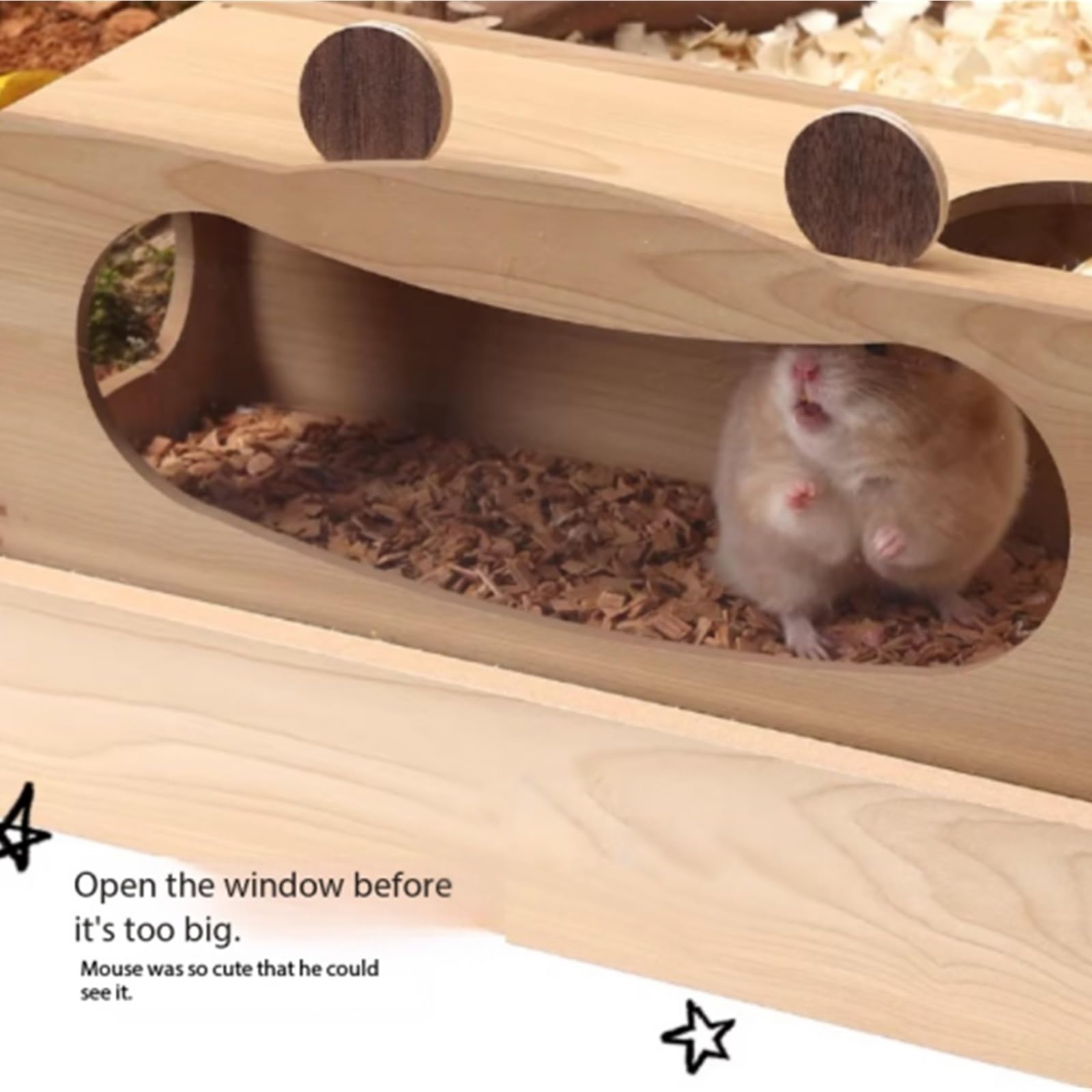 Cage à Hamsters Nid de Hamster Ours Doré Cachette Maison en Bois Petite(Grand)