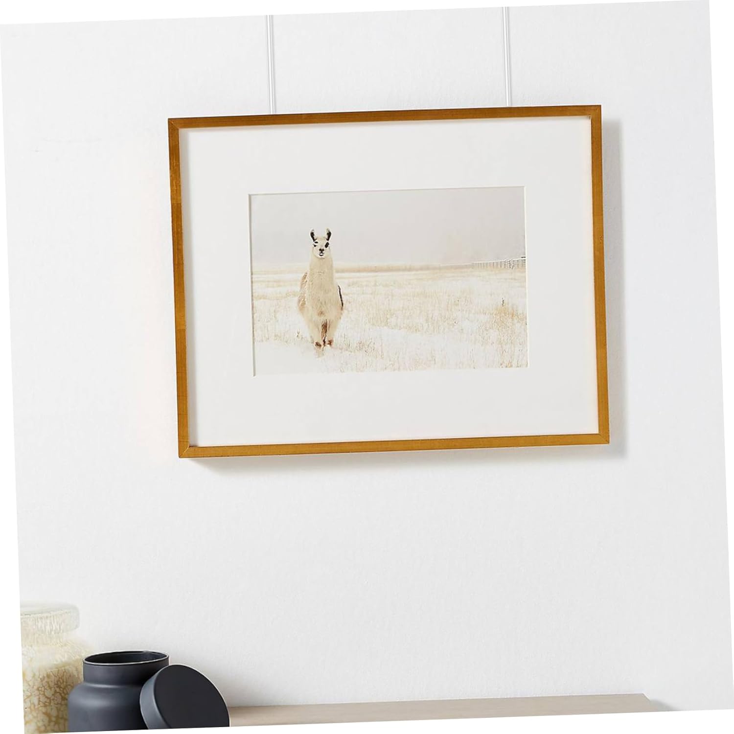 STOBOK 3sets Transparent Nylon Rope Hanging Cords Planters Hanging Wire Picture Frame Wire for Hanging Picture Rail Hooks Invisible Hanging Wire Picture Wire Clothesline Wire 12pcs*3