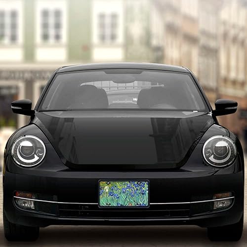 Miniatura 6 de WIRESTER Placa decorativa frontal para automóvil, placa de matrícula novedosa para automóvil, SUV, camión, vehículo, metal de aluminio resistente, 6