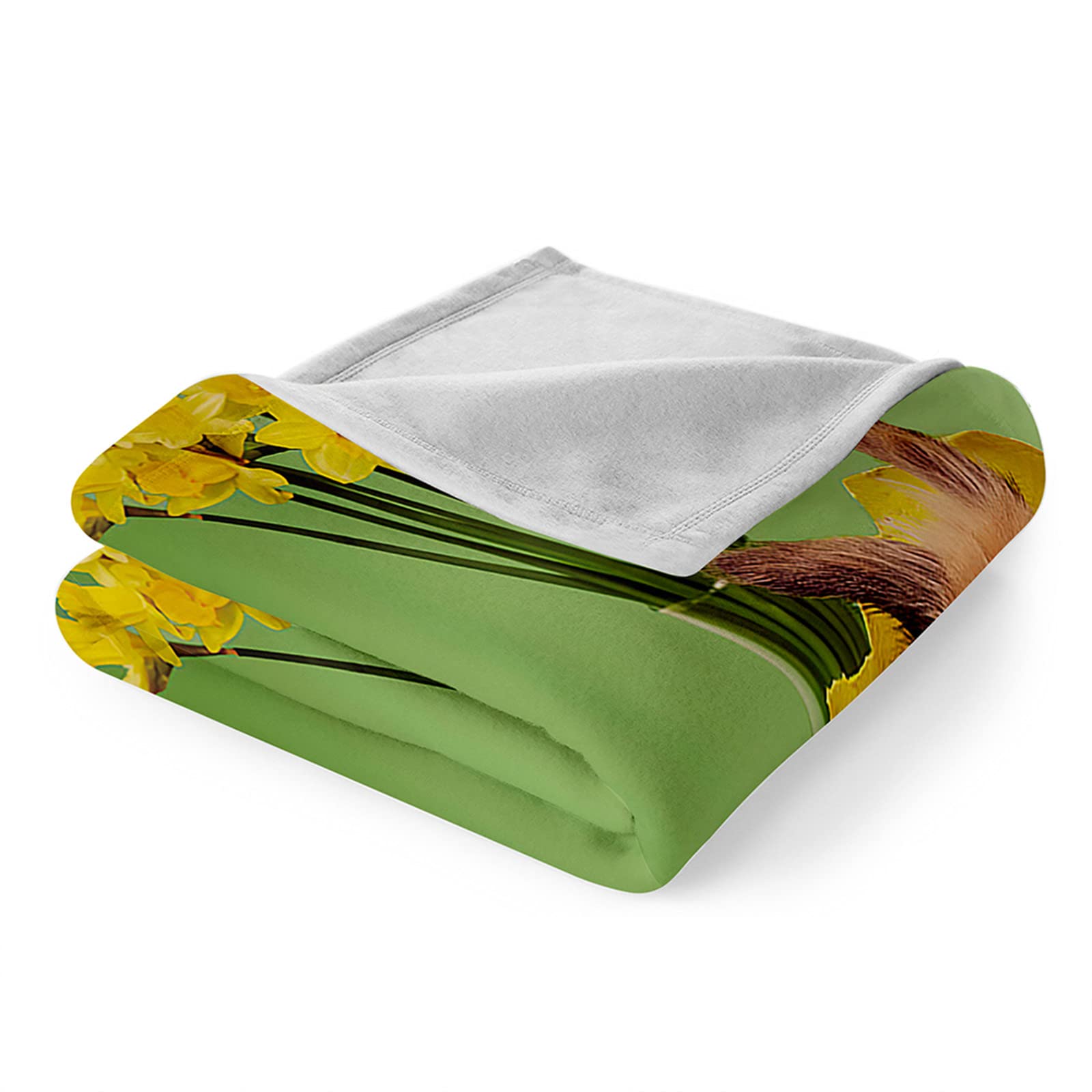 Chickwin Coperta Pasquale, 3D Coniglietto Coniglio Stampa