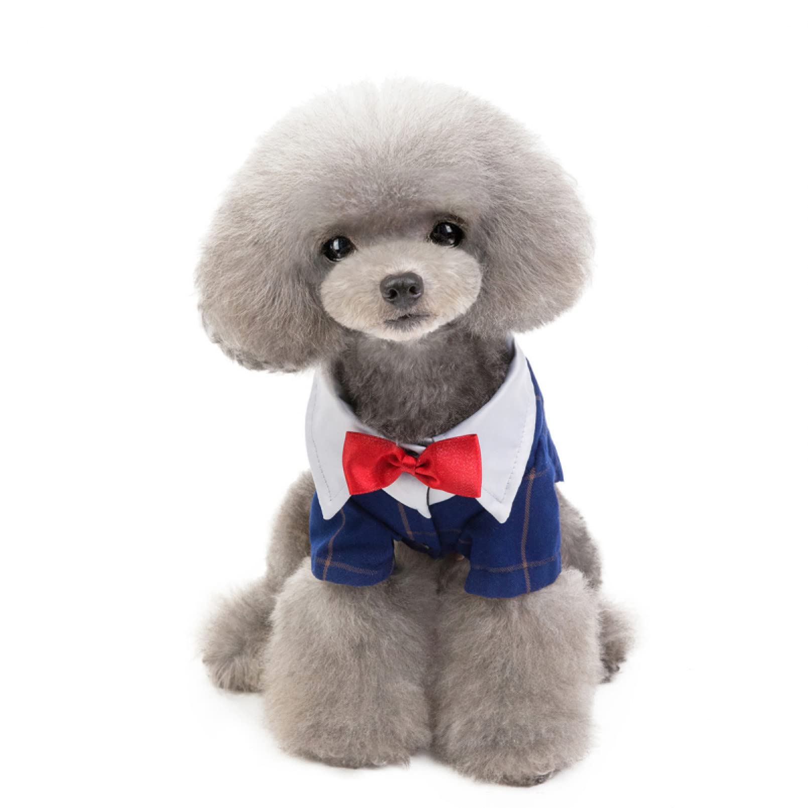 Disfraces de Halloween para Mascotas, Ropa for Perros Ropa for Mascotas Traje de Esmoquin for Perros Disfraz for Mascotas Ropa for Perros o Gatos Halloween(XXL)