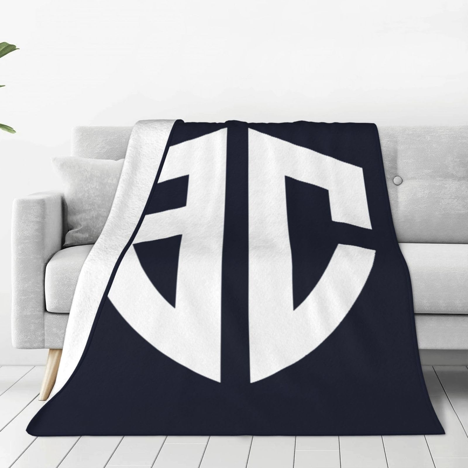 アルティーリ千葉ブランケット Amazon｜アルティーリ千葉 毛布 ブランケット 大判 ひざ掛け シングル