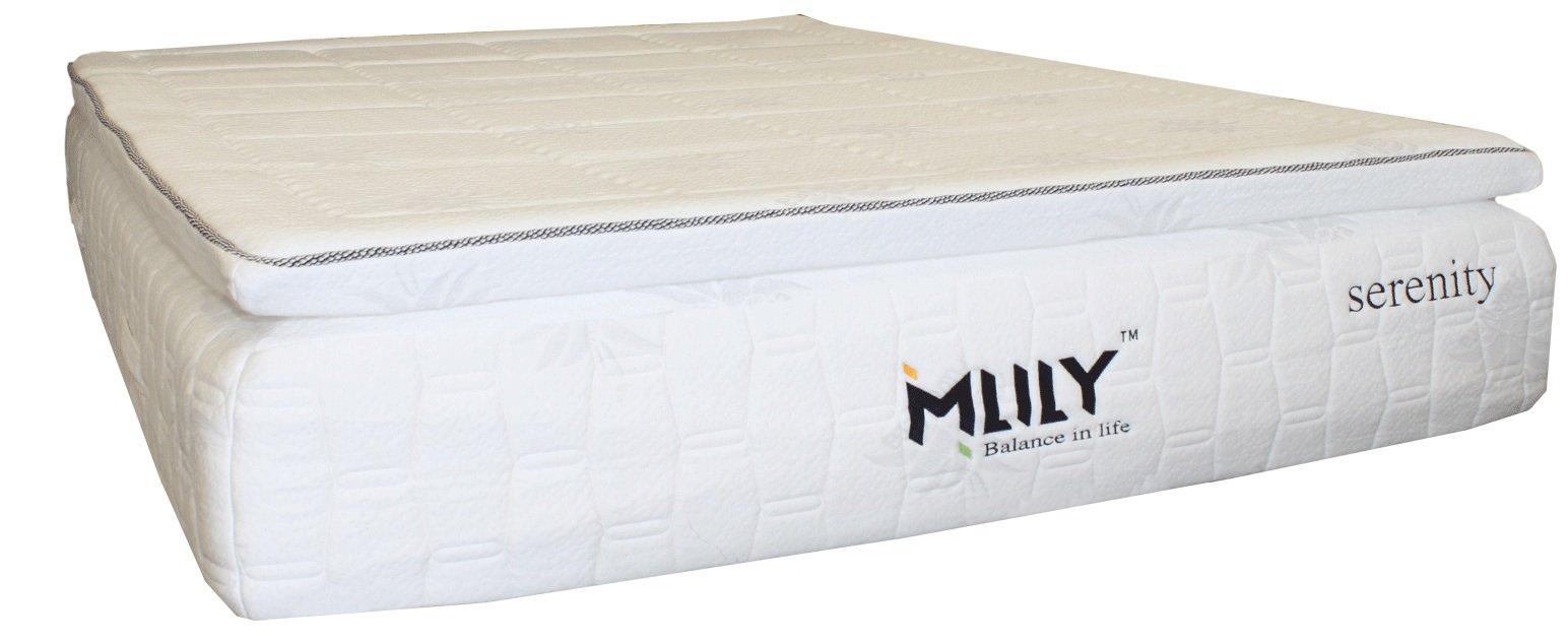 Comfortable Memory Foam 13" Pillow Affordable Mattress (King)