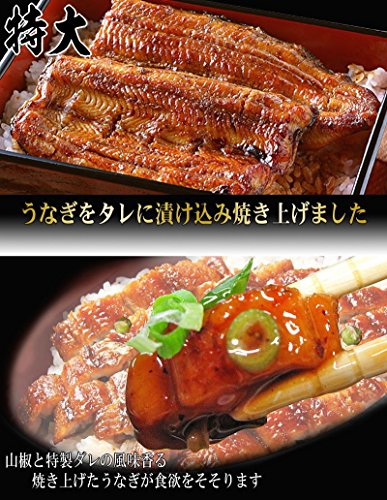 おのみち発 北前船の贈り物 国産(宮崎県産・鹿児島県産)炭火焼うなぎ蒲焼 2尾入 特大(1尾約230g前後~250g前後) の商品画像 2